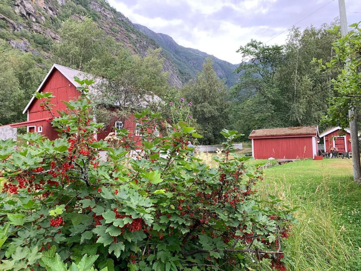 Aobrio Holidayhouse, Authentic Norwegian Farmhouse Close To Flam Lærdalsøyri Exterior foto