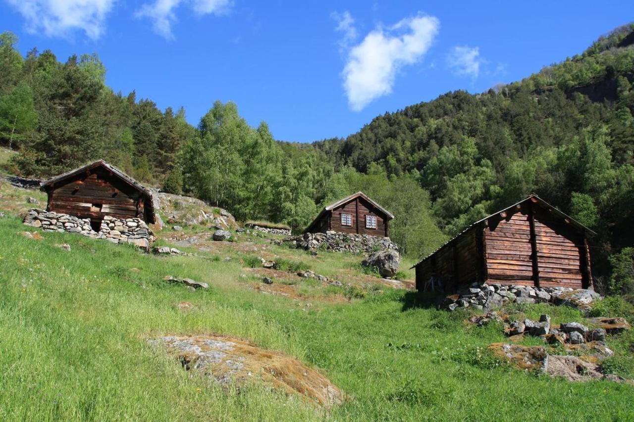 Aobrio Holidayhouse, Authentic Norwegian Farmhouse Close To Flam Lærdalsøyri Exterior foto