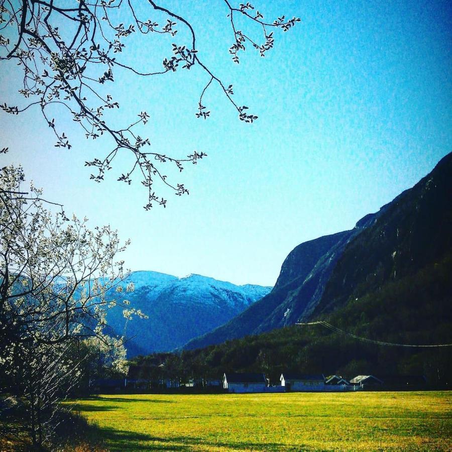 Aobrio Holidayhouse, Authentic Norwegian Farmhouse Close To Flam Lærdalsøyri Exterior foto